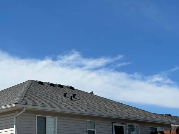 Best Sheet Metal Roofing  in Massapequa, NY